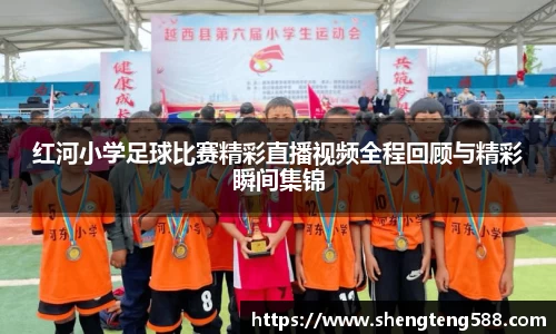 极悦娱乐