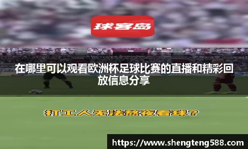 在哪里可以观看欧洲杯足球比赛的直播和精彩回放信息分享