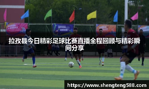 极悦娱乐官网