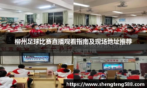 柳州足球比赛直播观看指南及现场地址推荐