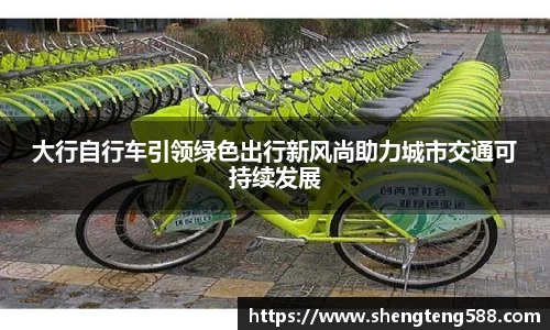 大行自行车引领绿色出行新风尚助力城市交通可持续发展