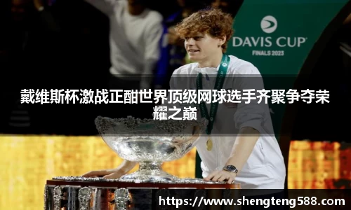 戴维斯杯激战正酣世界顶级网球选手齐聚争夺荣耀之巅
