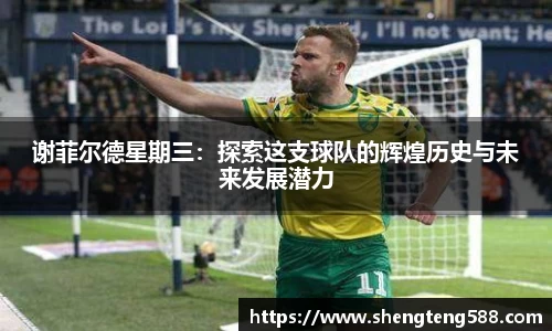 谢菲尔德星期三：探索这支球队的辉煌历史与未来发展潜力