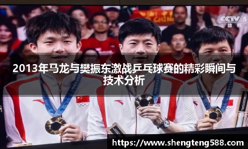 2013年马龙与樊振东激战乒乓球赛的精彩瞬间与技术分析