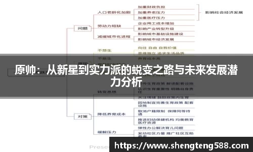 原帅：从新星到实力派的蜕变之路与未来发展潜力分析