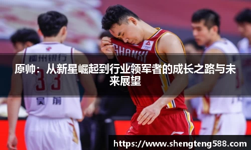 原帅：从新星崛起到行业领军者的成长之路与未来展望